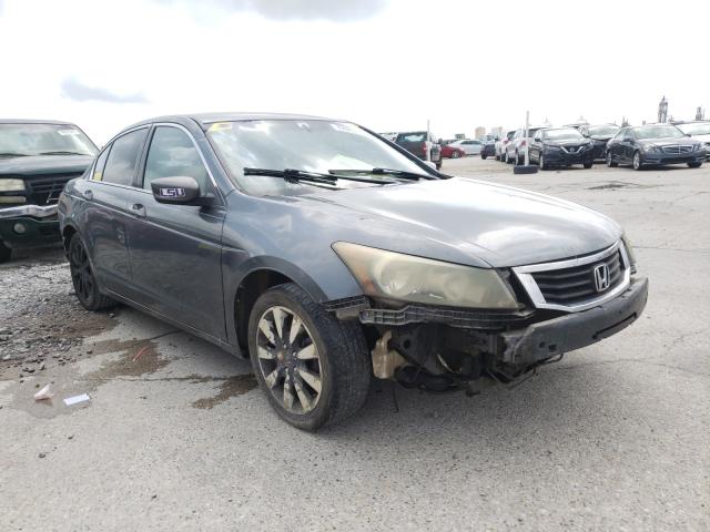Honda Accord lx (2010)