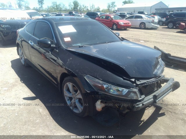 Honda Accord cpe (2012)