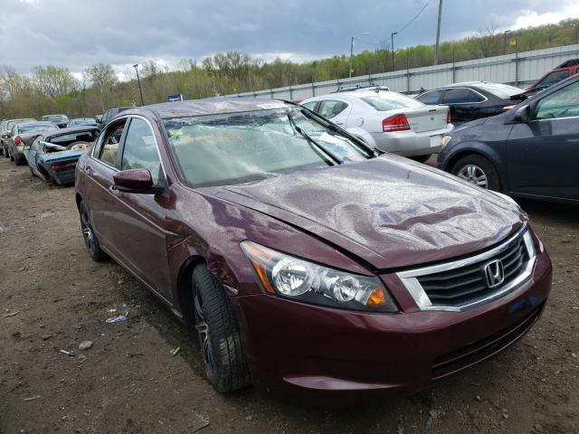 Honda Accord lx (2010)