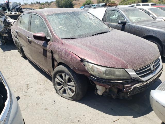 Honda Accord lx (2013)