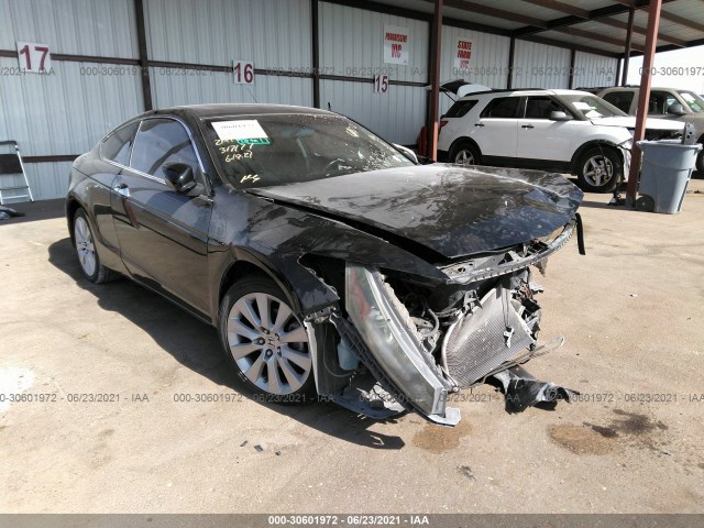 Honda Accord cpe (2010)