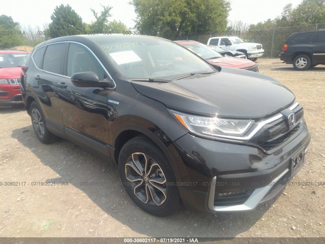 Honda Cr-v hybrid (2021)