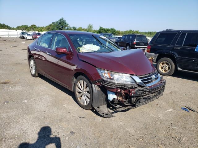 Honda Accord tou (2013)