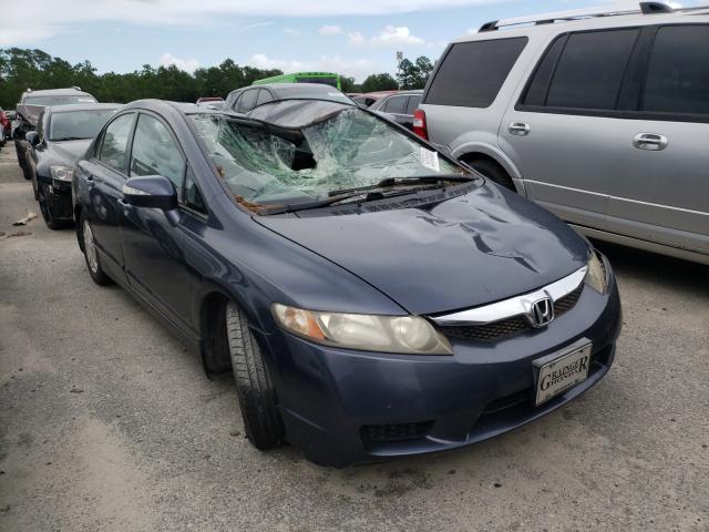 Honda Civic hybr (2010)