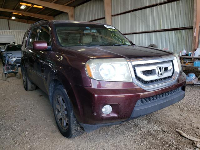 Honda Pilot tour (2010)