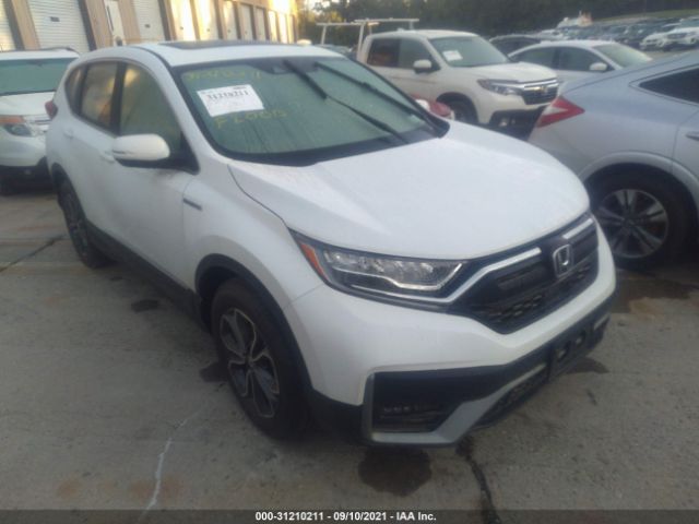 Honda Cr-v hybrid (2021)