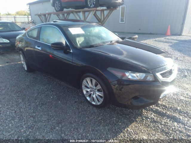 Honda Accord cpe (2010)