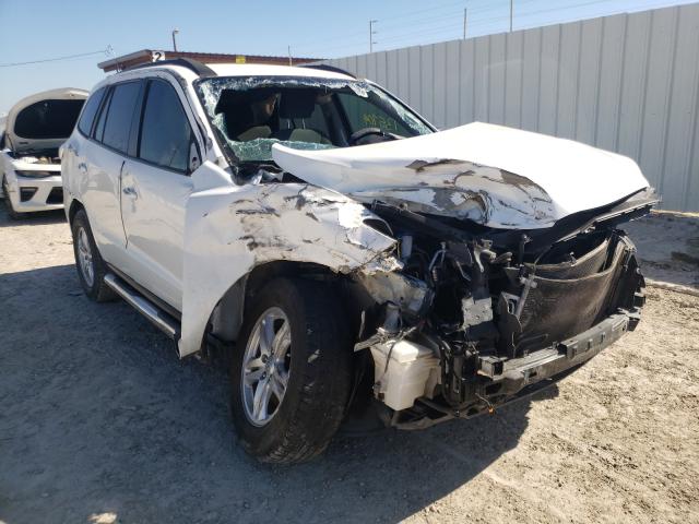 Hyundai Santa fe g (2010)