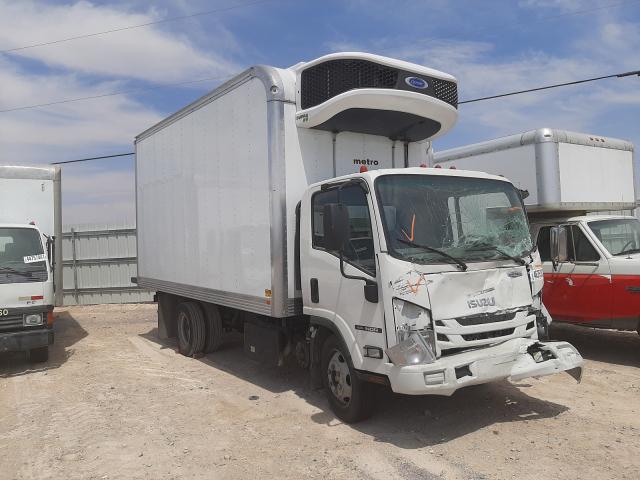 Isuzu Nqr (2018)