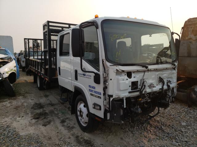 Isuzu Npr hd (2019)
