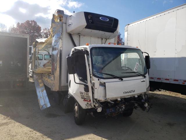 Isuzu Nqr (2019)