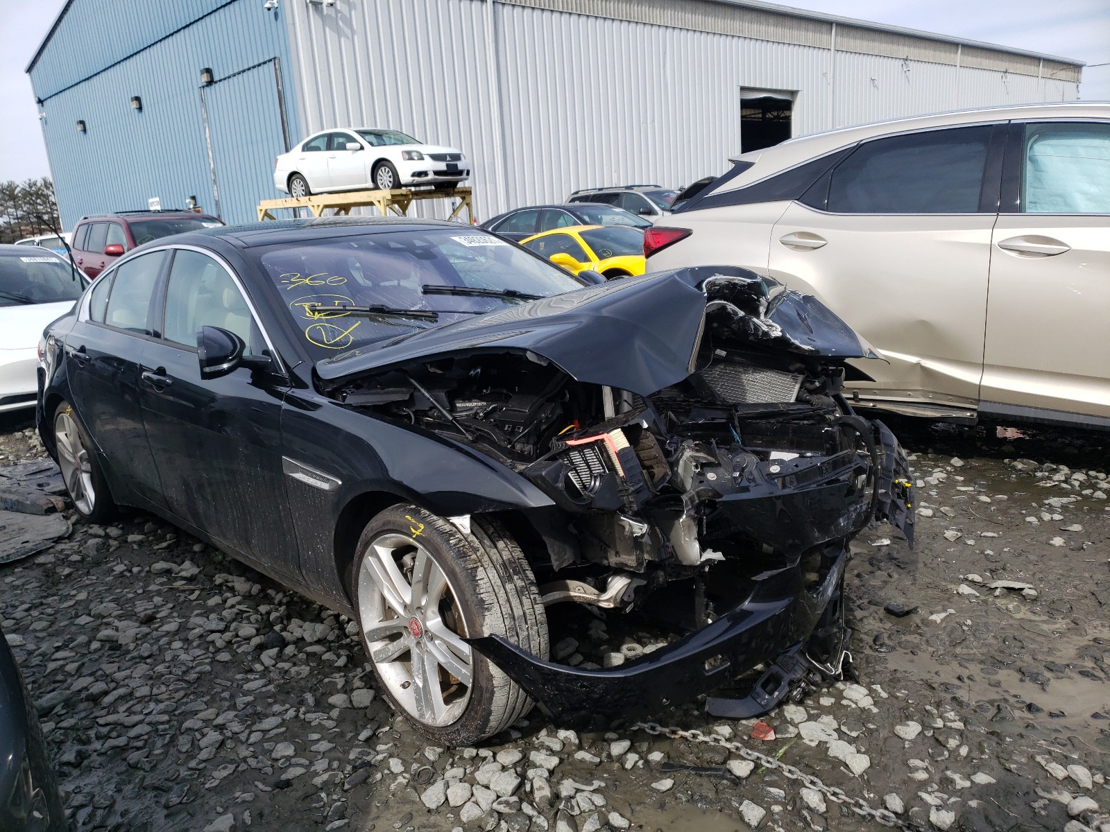Jaguar Xe premium (2018)