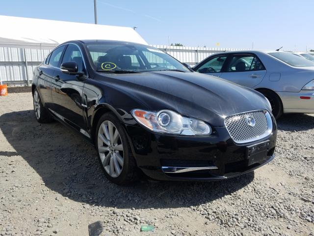 Jaguar Xf premium (2011)