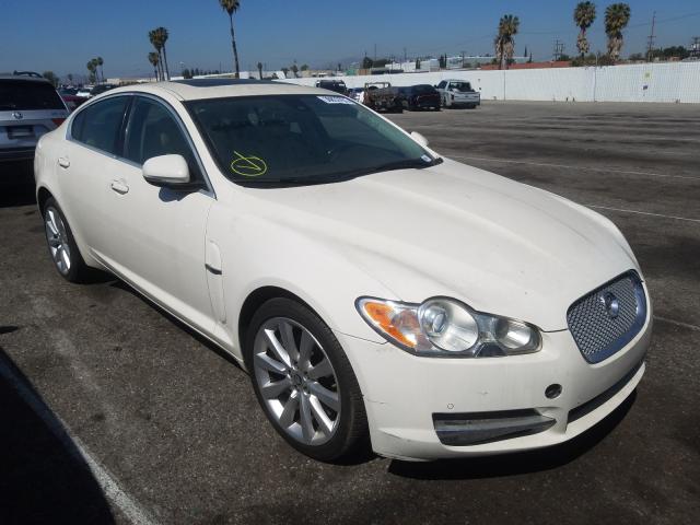 Jaguar Xf premium (2010)