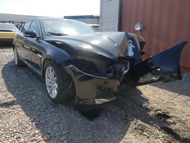 Jaguar Xf (2013)