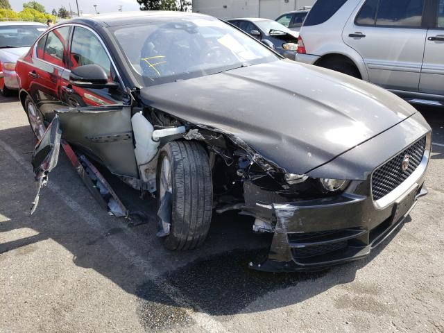 Jaguar Xe premium (2019)
