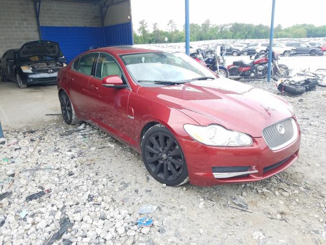 Jaguar Xf premium (2010)