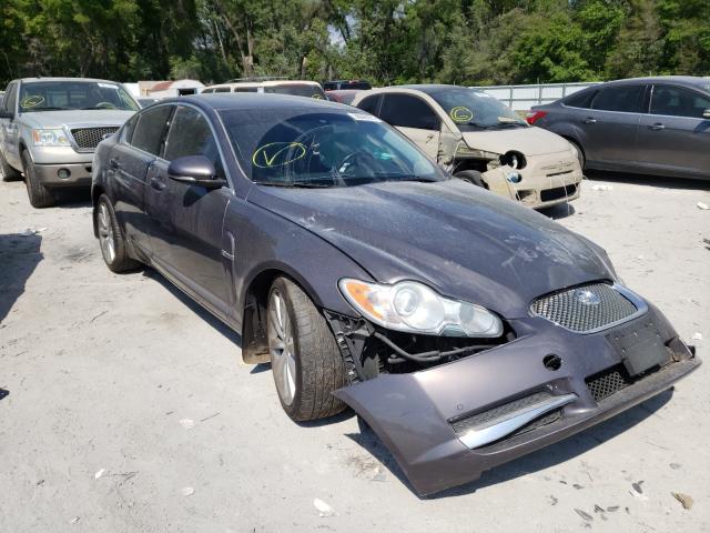 Jaguar Xf premium (2010)
