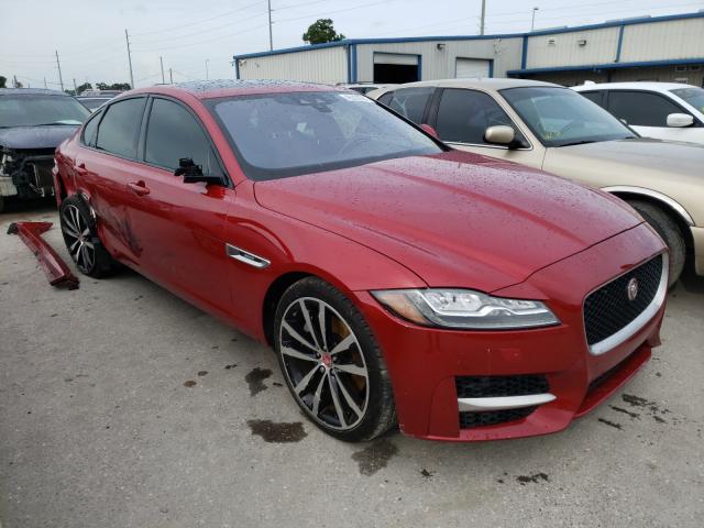 Jaguar Xf r - spo (2017)