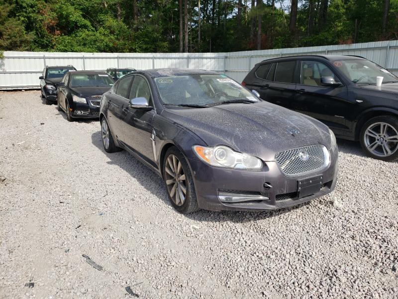 Jaguar Xf premium (2010)