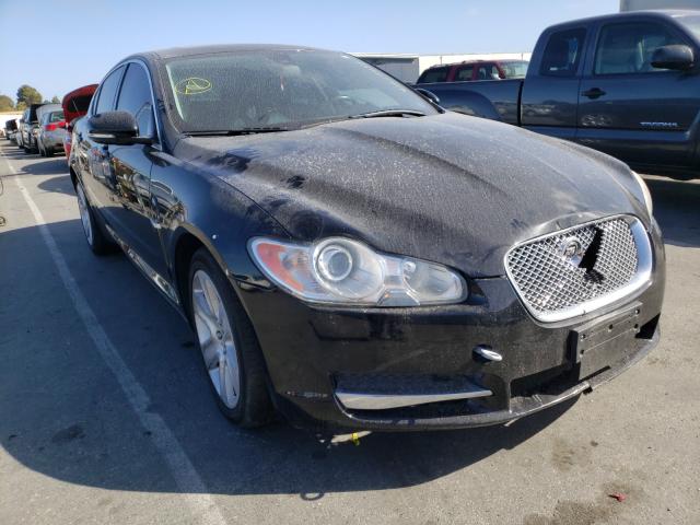 Jaguar Xf (2011)