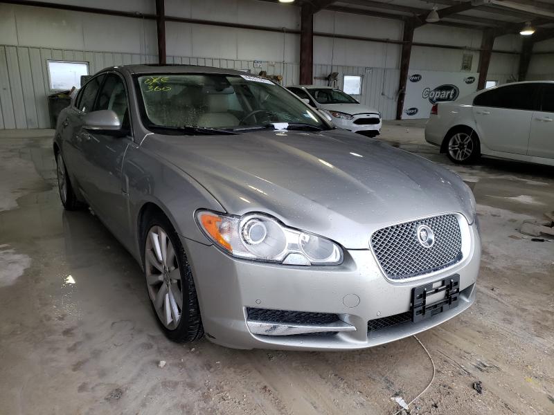 Jaguar Xf premium (2010)