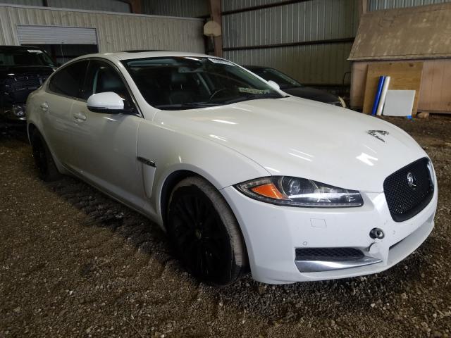 Jaguar Xf (2013)