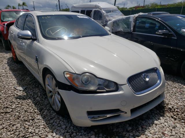 Jaguar Xf premium (2010)