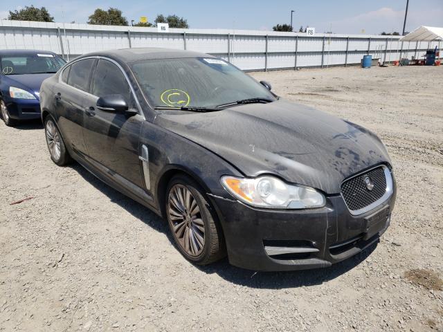 Jaguar Xf (2011)