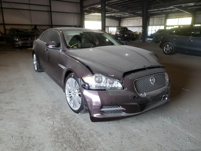 Jaguar Xjl portfo (2013)