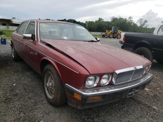 Jaguar Vandenplas (2015)