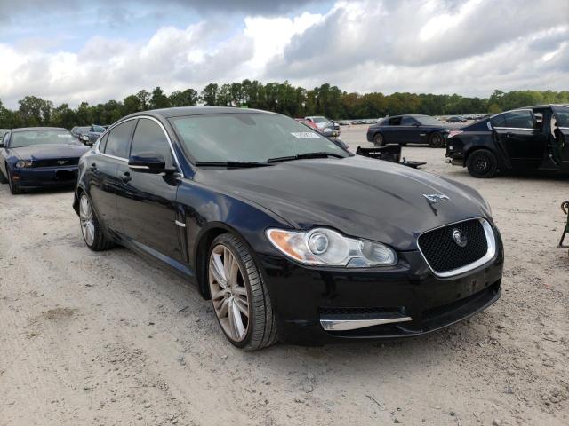 Jaguar Xf superch (2011)