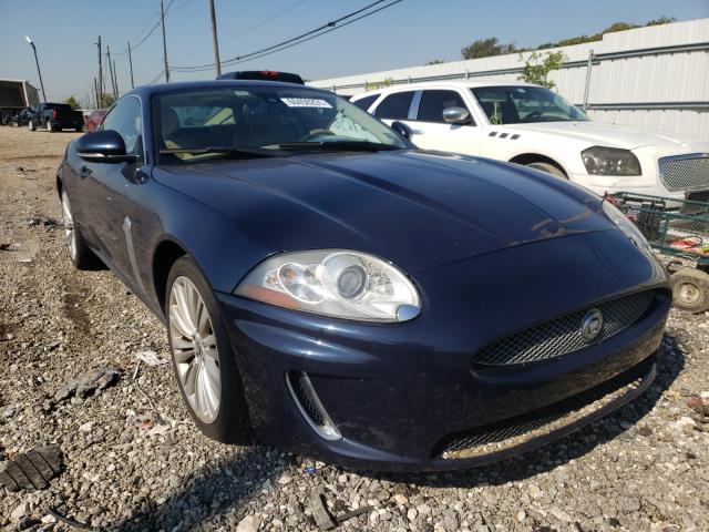Jaguar Xk portfol (2010)
