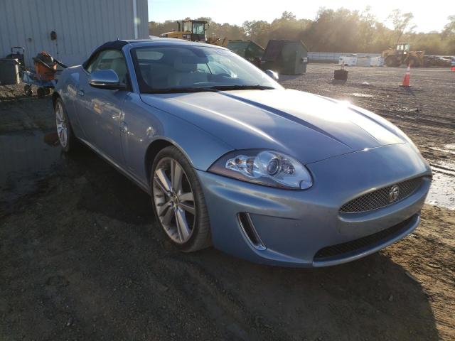 Jaguar Xk portfol (2010)