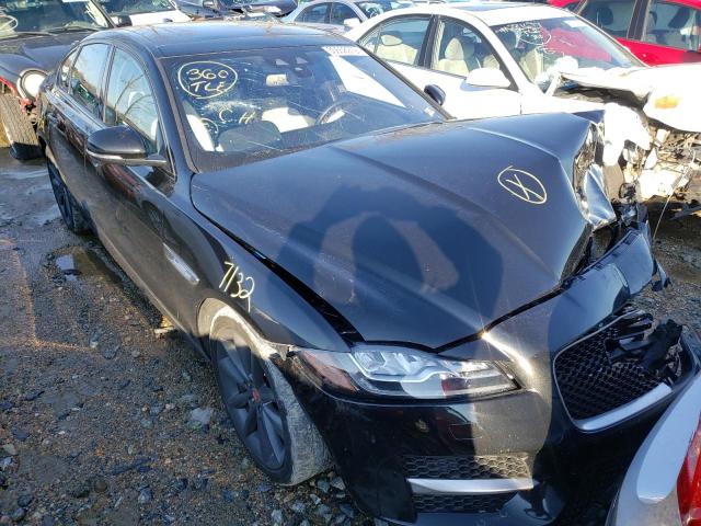 Jaguar Xf r - spo (2017)