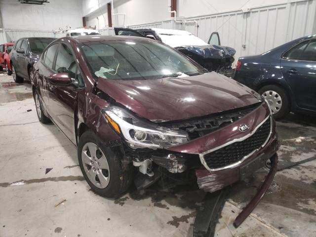 Kia Forte lx (2017)
