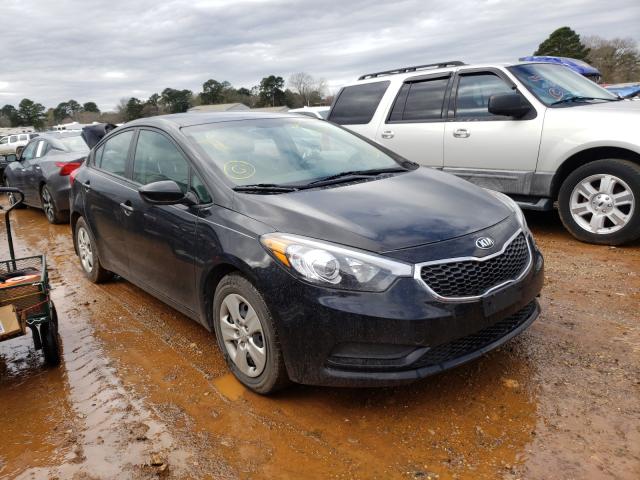 Kia Forte lx (2016)