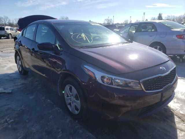 Kia Forte lx (2017)