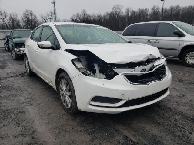 Kia Forte lx (2014)