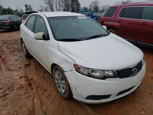 Kia Forte lx (2013)