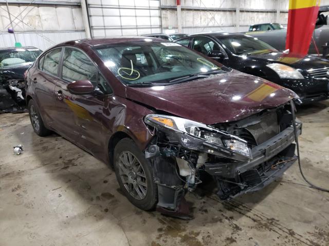Kia Forte lx (2017)