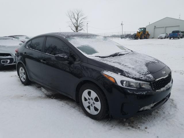 Kia Forte lx (2017)