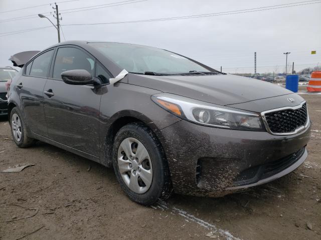 Kia Forte lx (2017)