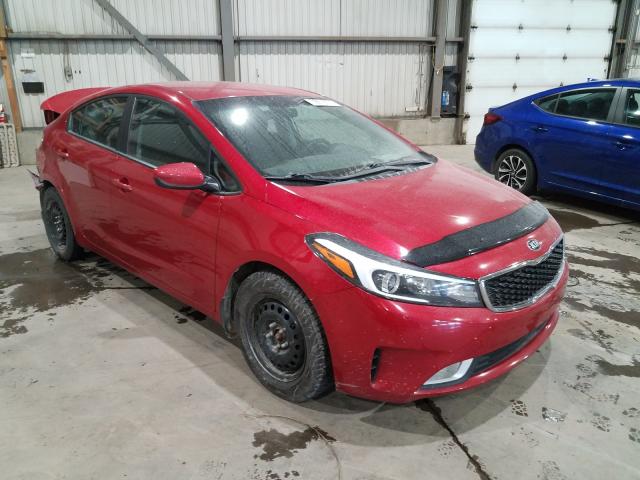 Kia Forte lx (2017)