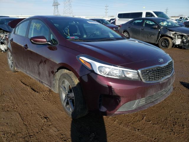 Kia Forte lx (2018)