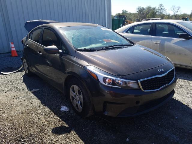 Kia Forte lx (2018)