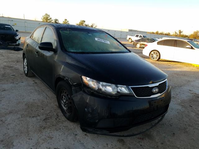 Kia Forte lx (2013)