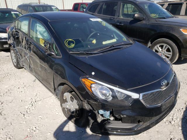 Kia Forte lx (2016)
