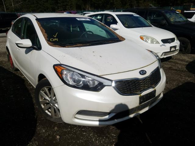 Kia Forte lx (2015)