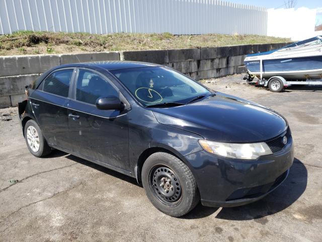 Kia Forte lx (2010)